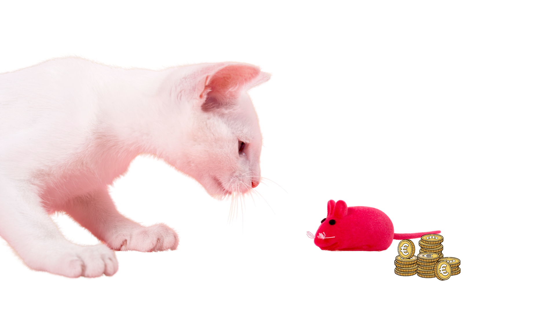 petite souris